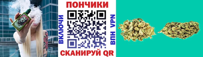 Купить наркотики сайты Чусовой Гашиш  COCAIN  МЕФ  hydra онион  Канабис  АМФЕТАМИН 