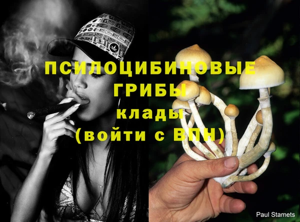 меф Володарск