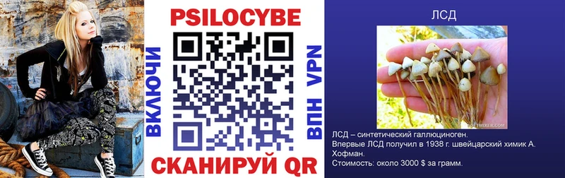 Галлюциногенные грибы Magic Shrooms  Чусовой 